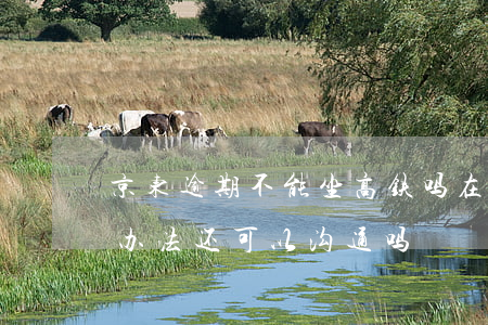 京东逾期不能坐高铁吗(在京东逾期了现在没办法还可以沟通吗)
