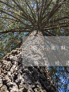 京东逾期两万会怎样(京东逾期多少天会起诉,我已经还了2000多)