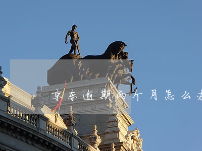 京东逾期两个月怎么办