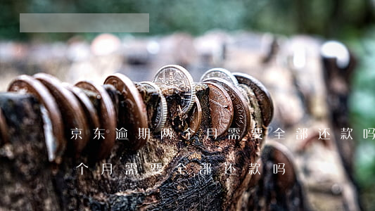 京东逾期两个月需要全部还款吗(京东逾期两个月需要全部还款吗)