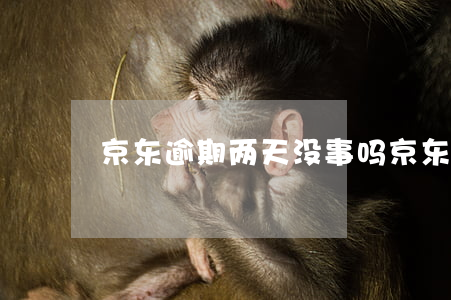 京东逾期两天没事吗(京东逾期几个小时)