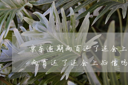 京东逾期两百还了还会上征信吗-京东逾期两百还了还会上征信吗知乎