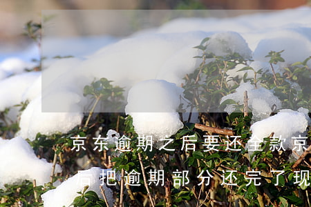 京东逾期之后要还全款 京东逾期60多天之后把逾期部分还完了现在要求还全款