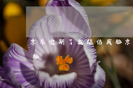京东逾期了发短信威胁(京东逾期了发短信威胁)