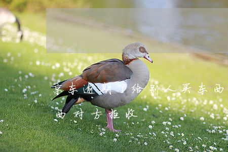 京东逾期了给别人买东西(京东上给别人买东西对方拒收)