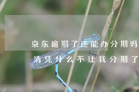 京东逾期了还能办分期吗(京东金融逾期后还清凭什么不让我分期了)