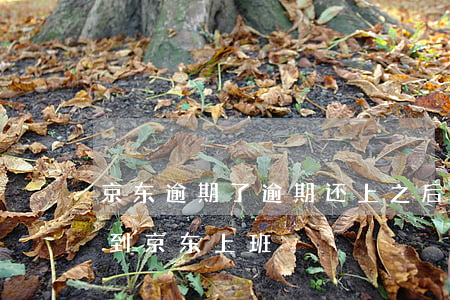 京东逾期了,逾期还上之后,还说要上门（逾期后到京东上班）
