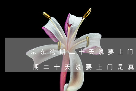 京东逾期二十天说要上门是真的吗-京东逾期二十天说要上门是真的吗吗