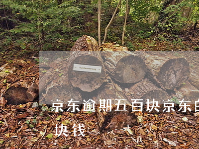 京东逾期五百块(京东白条逾期90天500块钱)