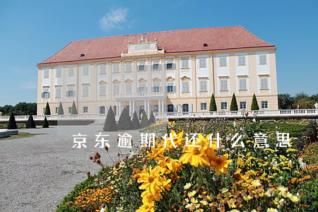 京东逾期代还什么意思