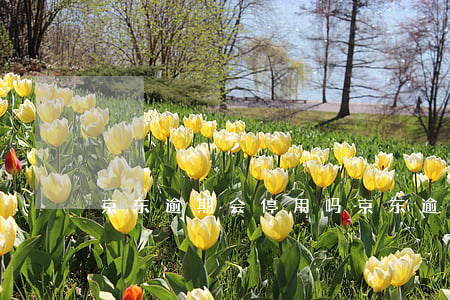 京东逾期会停用吗（京东逾期会停用吗）