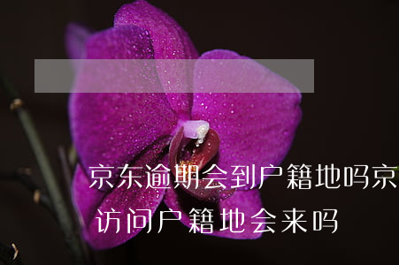 京东逾期会到户籍地吗(京东金融逾期了说要访问户籍地会来吗)