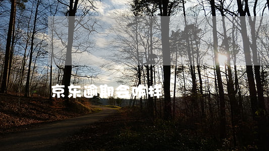 京东逾期会咋样