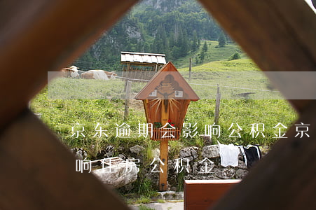 京东逾期会影响公积金(京东的金条会不会影响住房公积金)