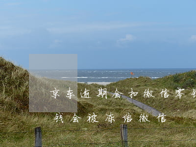 京东逾期会扣微信零钱里的钱吗(欠京东多少钱会被冻结微信)