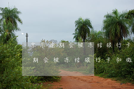 京东逾期会被冻结银行卡和微信吗-京东逾期会被冻结银行卡和微信吗安全吗