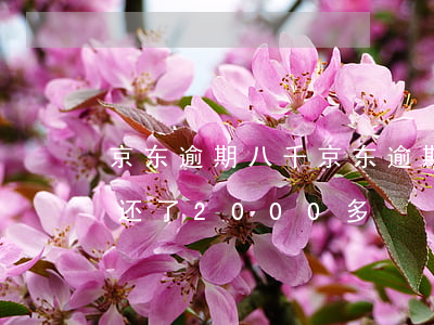 京东逾期八千(京东逾期多少天会起诉,我已经还了2000多)