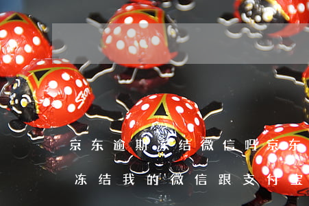 京东逾期冻结微信吗(京东逾期一年,说会强制冻结我的微信跟支付宝银行卡)