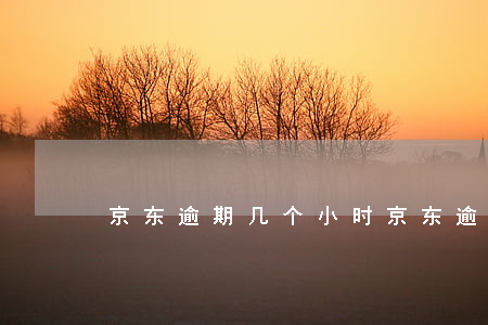 京东逾期几个小时（京东逾期多久会冻结）