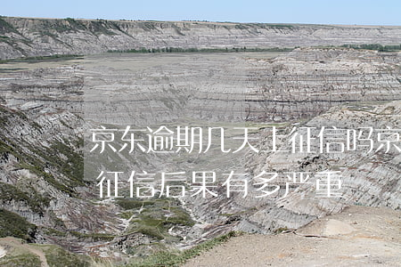 京东逾期几天上征信吗(京东金融逾期多久上征信?后果有多严重)