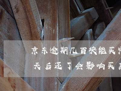 京东逾期几百块能买火车票吗(京东逾期二十天后还了会影响买高铁票吗)