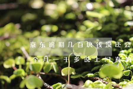 京东逾期几百块钱没还会上门吗(京东逾期两个月一千多说上门真的假的?)