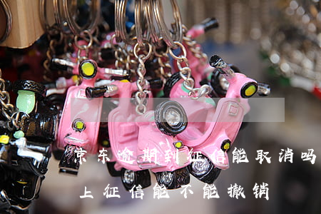 京东逾期到征信能取消吗(京东金融逾期一天上征信,能不能撤销)