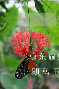 京东逾期加我微信要去单位核实(京东白条逾期私下加我微信)