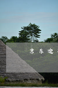 京东逾期十几天严重吗-京东逾期几个小时