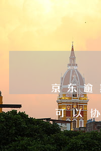 京东逾期协商还款吗(京东支付宝逾期一年了可以协商还款么)