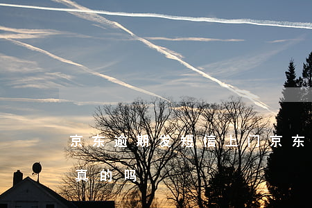 京东逾期发短信上门(京东逾期发短信上门是真的吗)