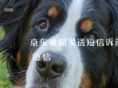 京东逾期发送短信诉前申请(京东诉前通知书短信)