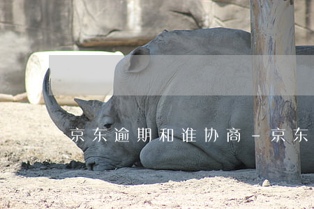 京东逾期和谁协商-京东还款跟谁协商