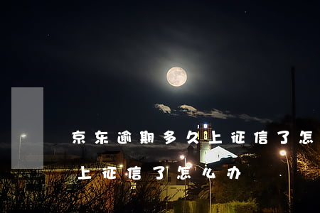 京东逾期多久上征信了怎么办(京东逾期多久上征信了怎么办)