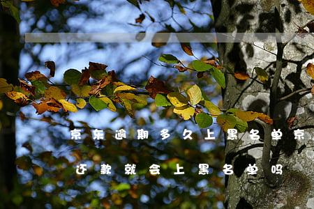 京东逾期多久上黑名单(京东金融逾期几天不还款就会上黑名单吗)