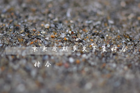 京东逾期多久下支付令-京东逾期多久下支付令