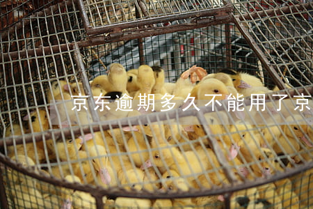 京东逾期多久不能用了 京东逾期几个小时