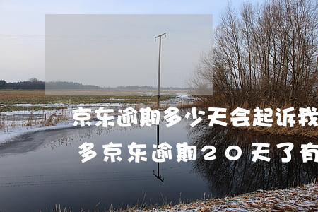 京东逾期多少天会起诉,我已经还了2000多（京东逾期20天了有什么后果）