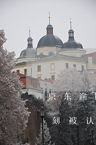 京东逾期失信了怎么办(京东如果逾期了会立刻被认为失信吗?)