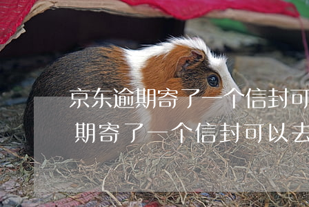 京东逾期寄了一个信封可以去拿吗-京东逾期寄了一个信封可以去拿吗安全吗