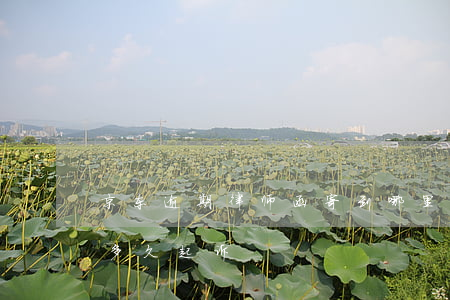 京东逾期律师函寄到哪里(京东发送律师函后多久起诉)