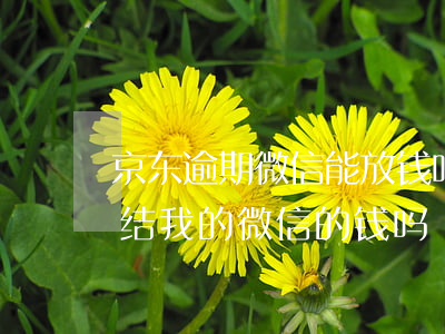 京东逾期微信能放钱吗(京东逾期三个月会冻结我的微信的钱吗)