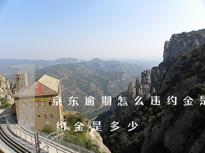 京东逾期怎么违约金是多少(京东逾期怎么违约金是多少)