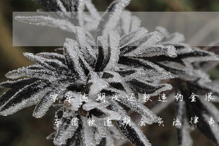 京东逾期没还款违约金很高它属于违法吗（京东借款逾期会负法律责任吗）