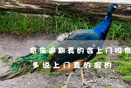 京东逾期真的会上门吗(京东逾期两个月一千多说上门真的假的?)