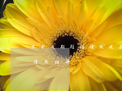 京东逾期短信催款现在怎么没有了(收到京东催款信件)