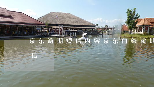 京东逾期短信内容(京东白条逾期10天发短信)