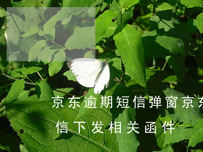 京东逾期短信弹窗(京东逾期15天给我发短信下发相关函件)