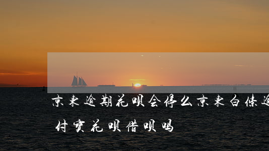 京东逾期花呗会停么(京东白条逾期会影响支付宝花呗借呗吗)