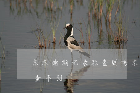 京东逾期记录能查到吗(京东的消息记录怎么查不到)